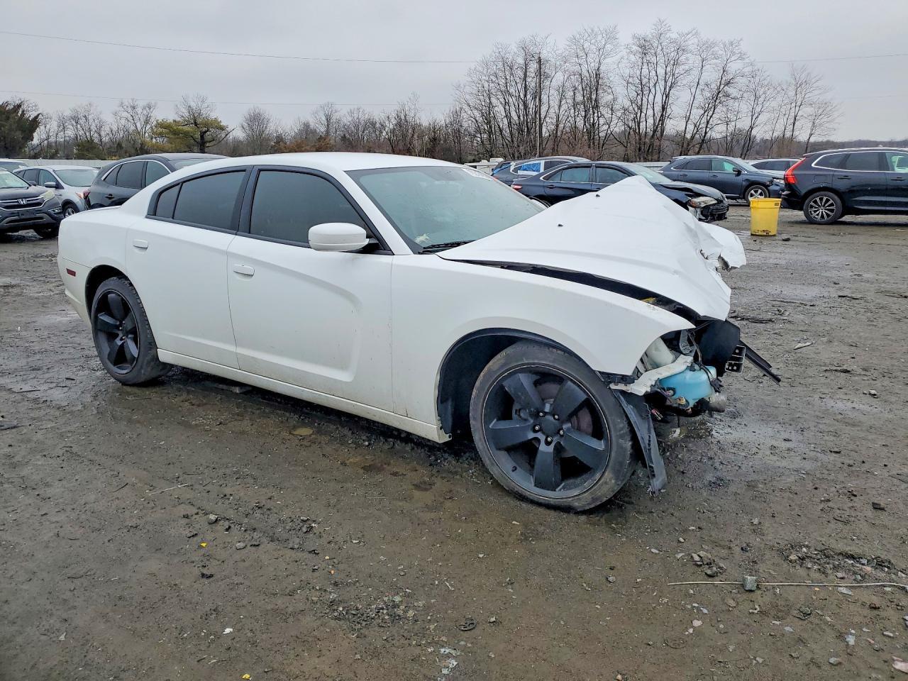 2014 Dodge Charger Se - Фото 4
