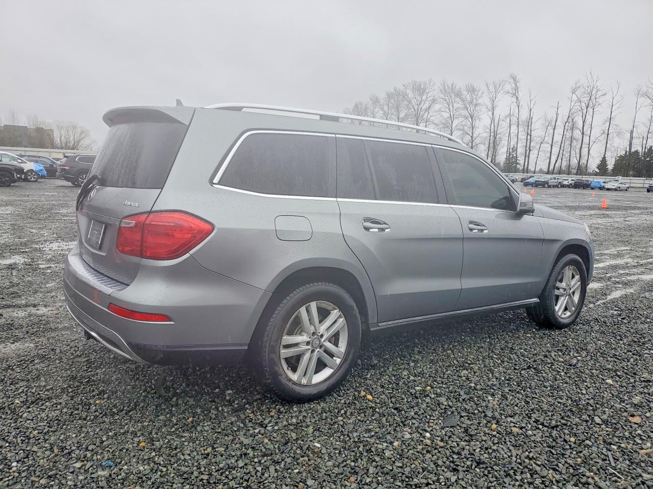 2014 Mercedes-Benz Gl 450 4Matic - Фото 3