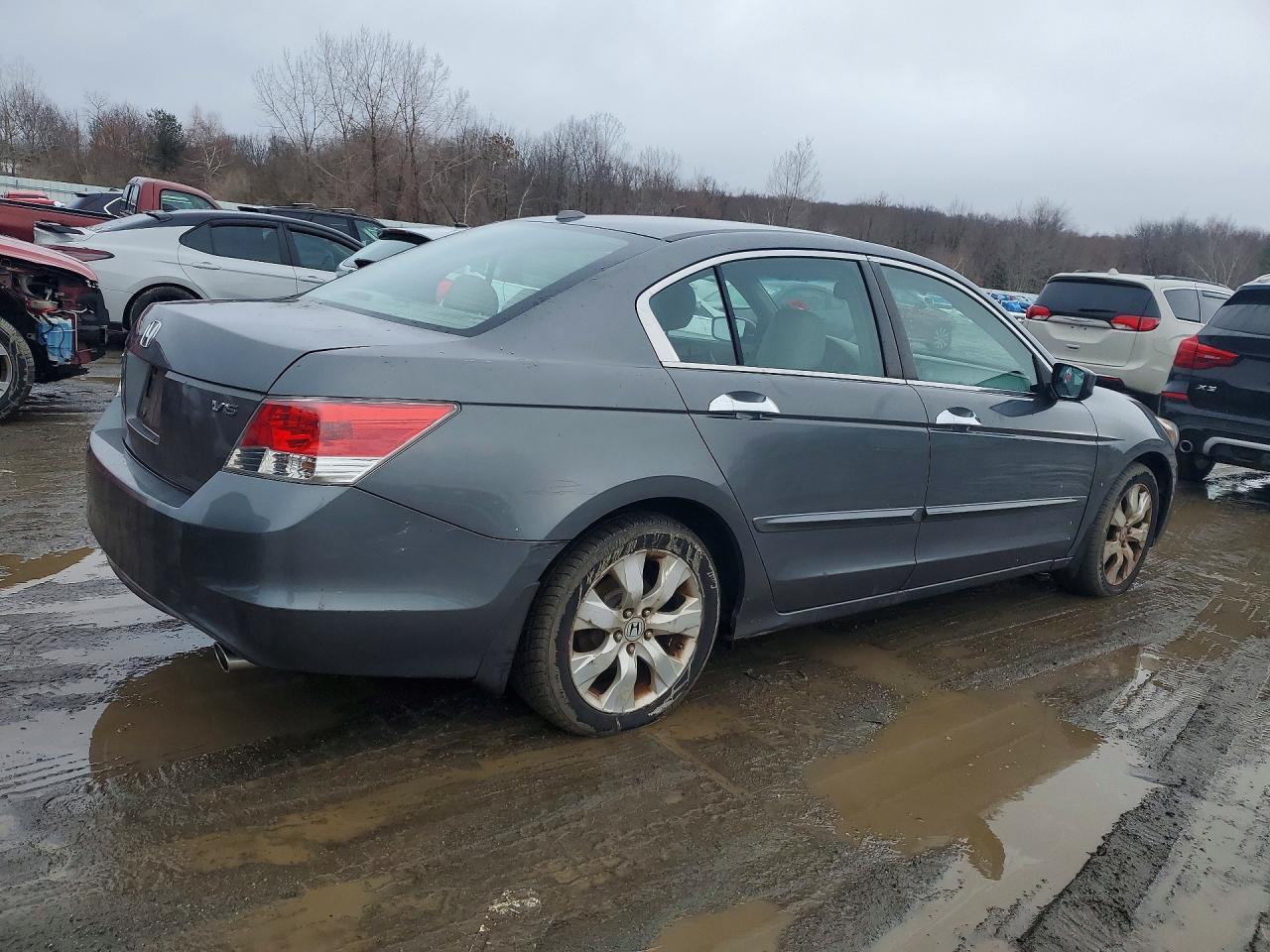 2008 Honda Accord Exl - Фото 3