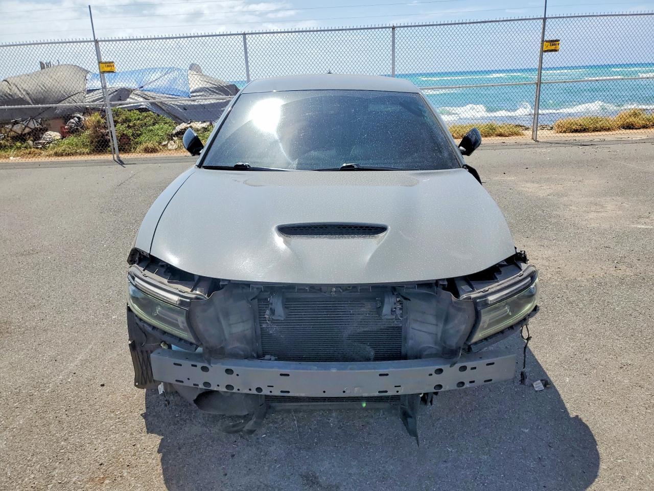 2019 Dodge Charger R - Фото 5