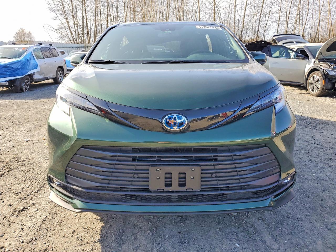 2025 Toyota Sienna Woodland Edition - Фото 5