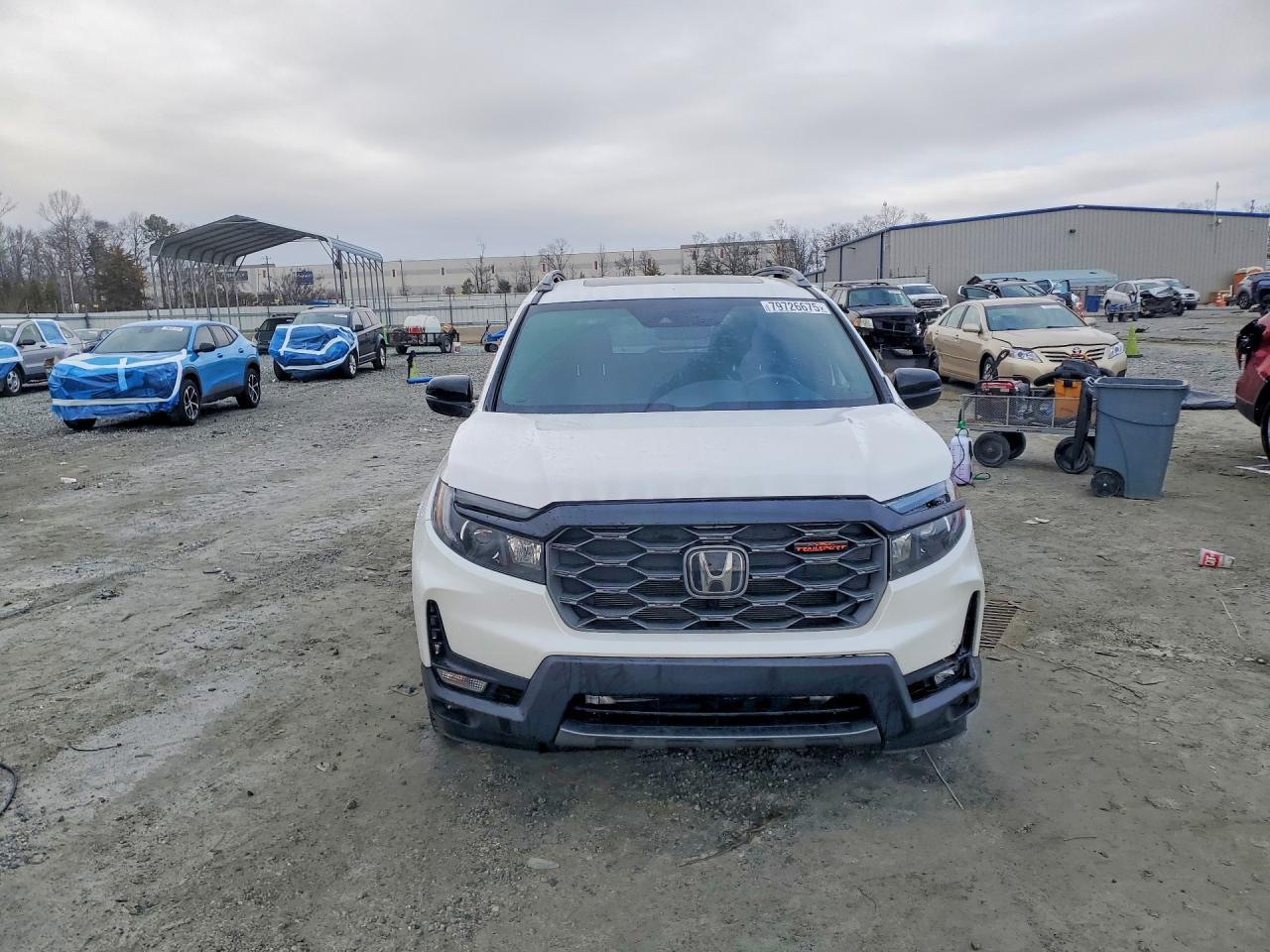 2025 Honda Passport Trail Sport - Image 5