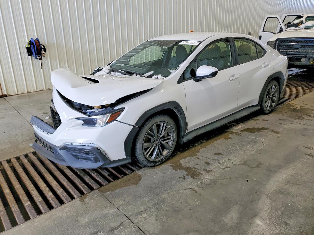 2024 Subaru Wrx