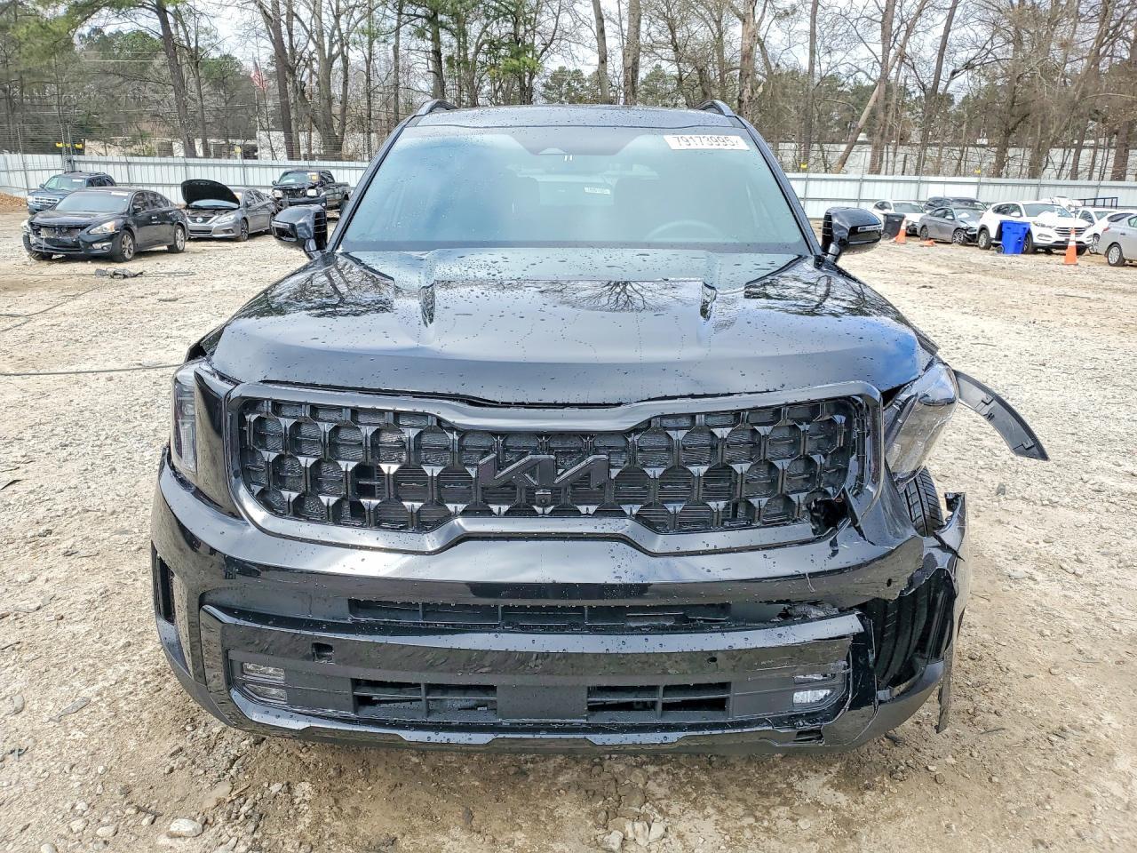 2025 Kia Telluride Sx X-Line - Фото 5