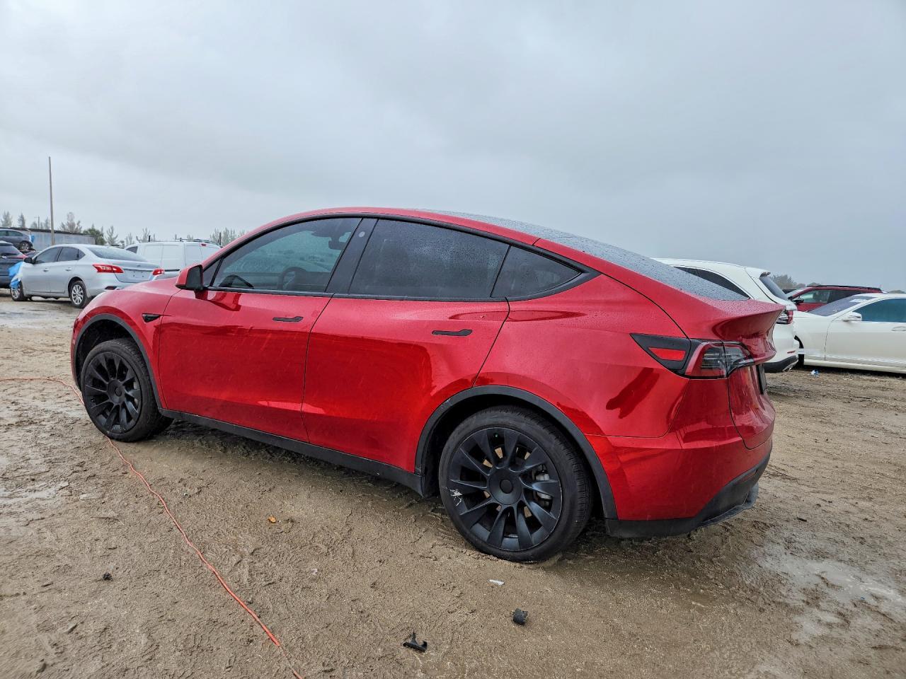 2023 Tesla Model Y - Фото 2