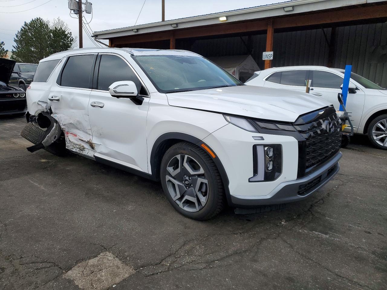 2024 Hyundai Palisade Limited - Фото 4
