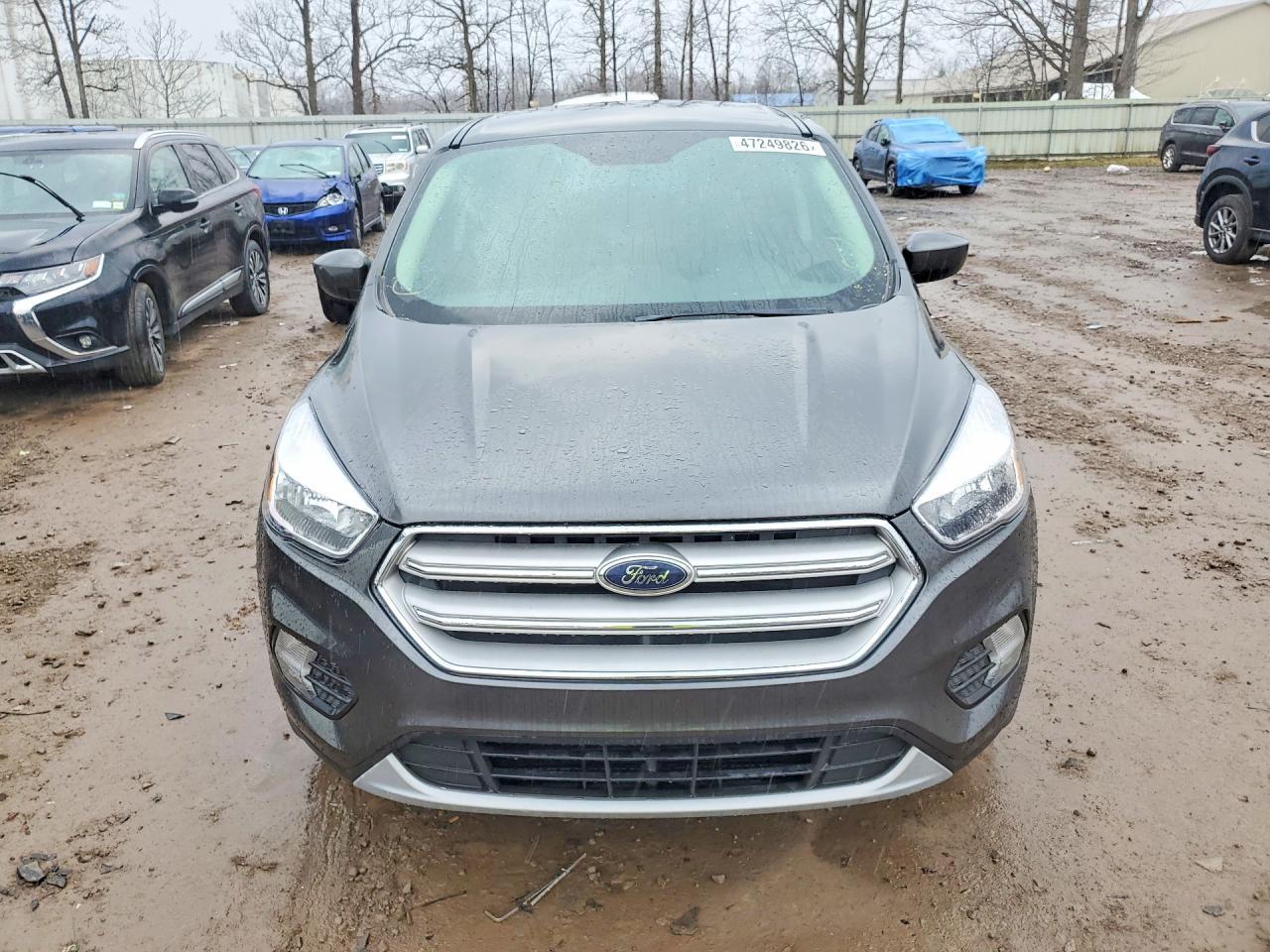 2019 Ford Escape Se - Фото 5