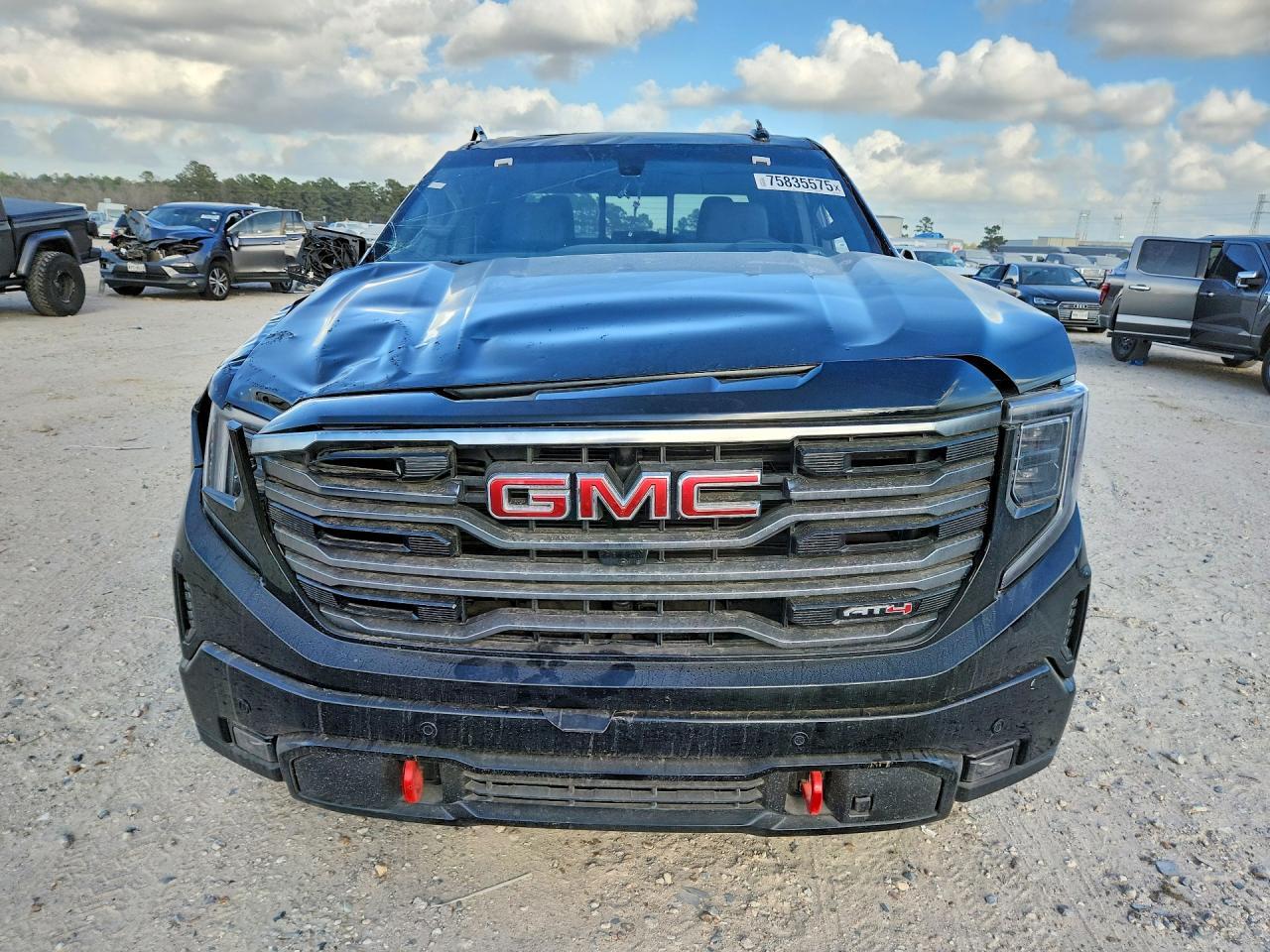 2025 GMC Sierra K1500 At4 - Фото 5