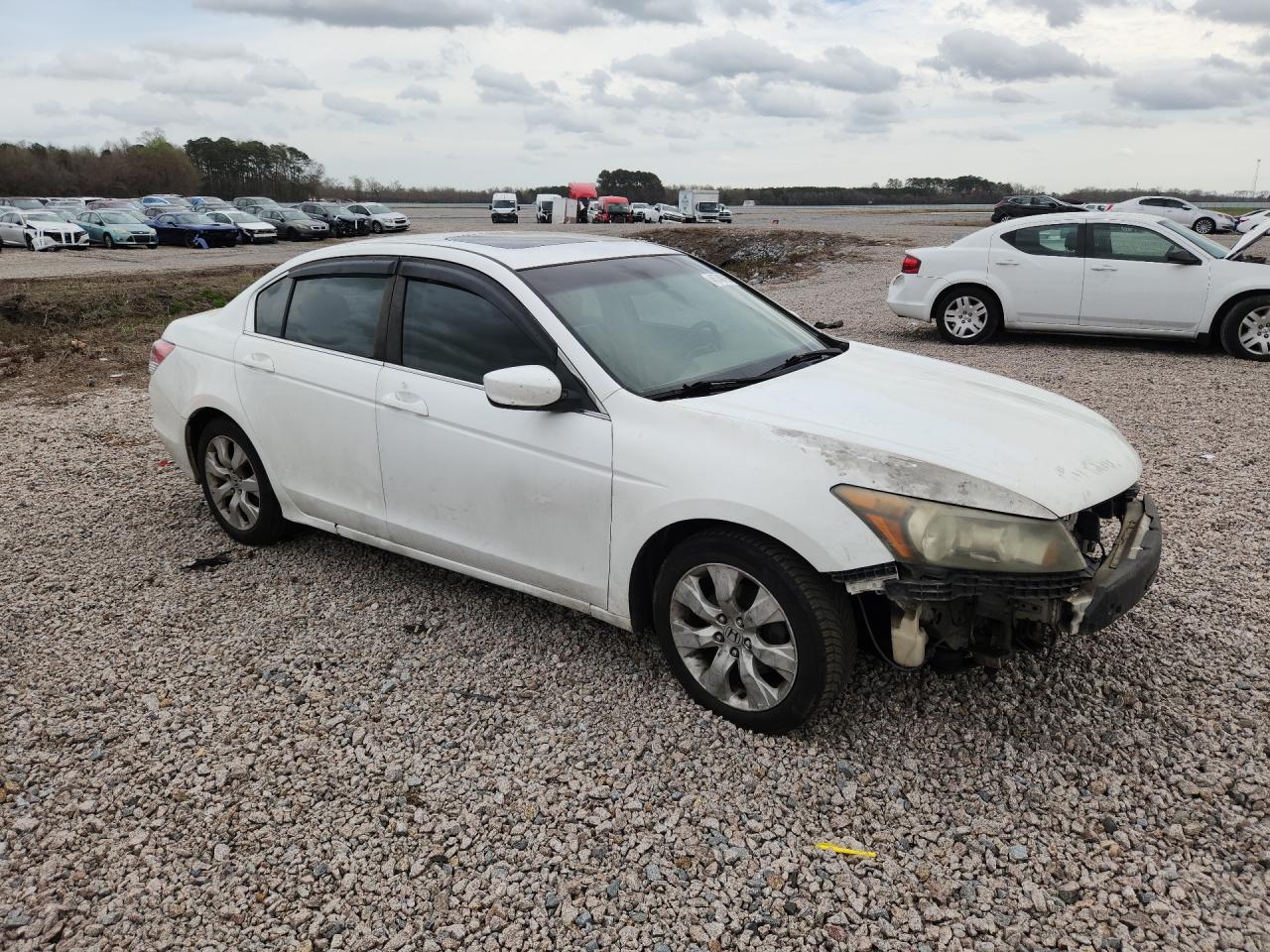 2008 Honda Accord Exl - Фото 4