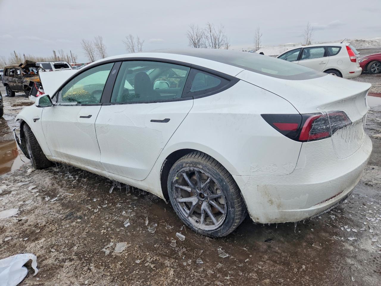 2022 Tesla Model 3 - Фото 2