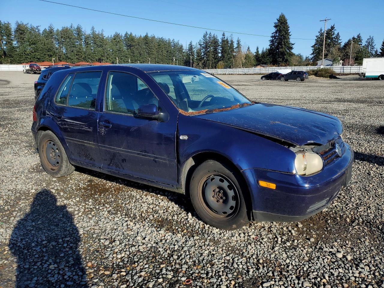 2003 Volkswagen Golf Gl - Фото 4