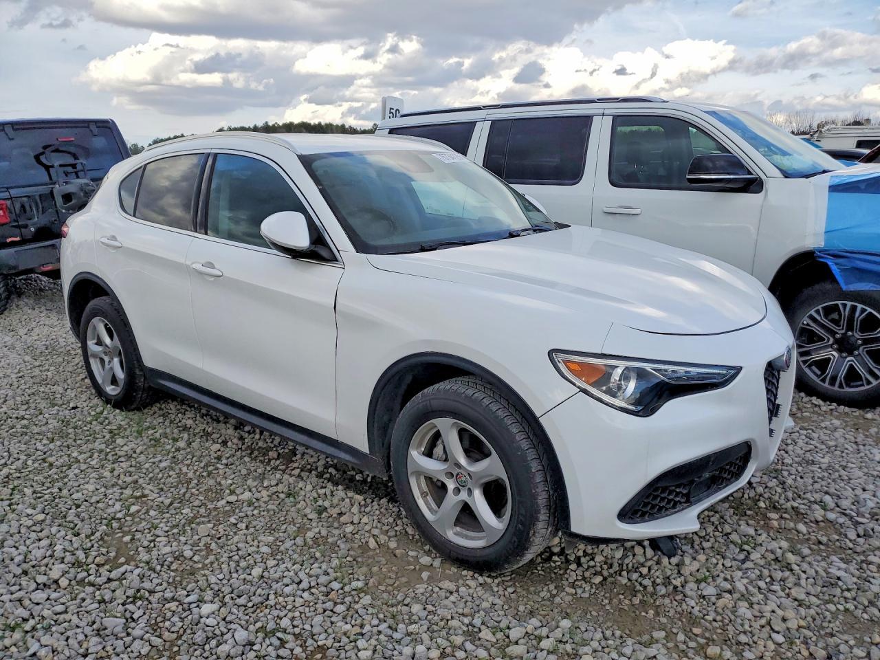2019 Alfa Romeo Stelvio - Фото 4