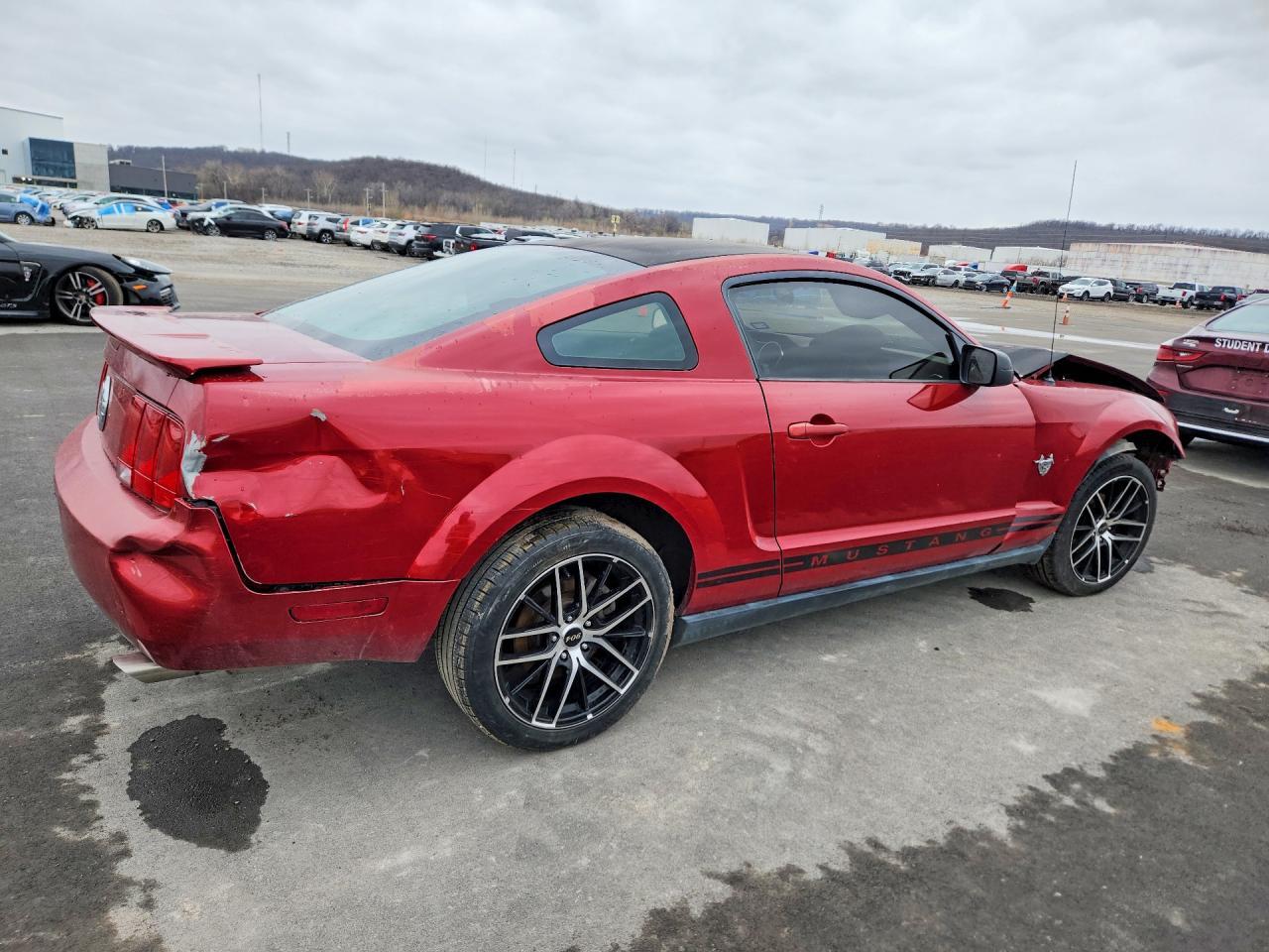 2009 Ford Mustang 50Th Anniversary - Фото 3