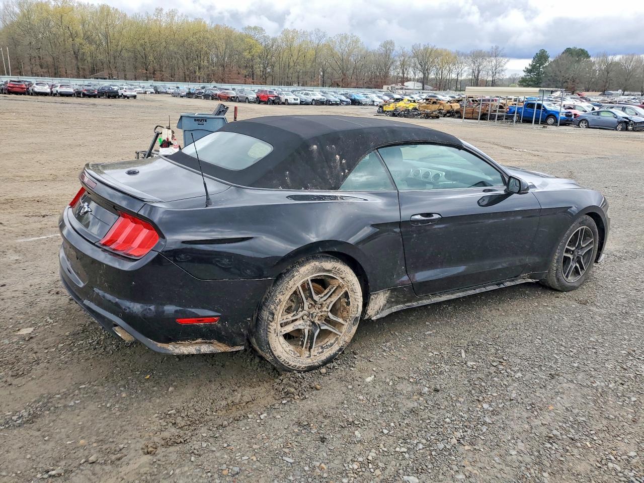 2019 Ford Mustang - Image 3