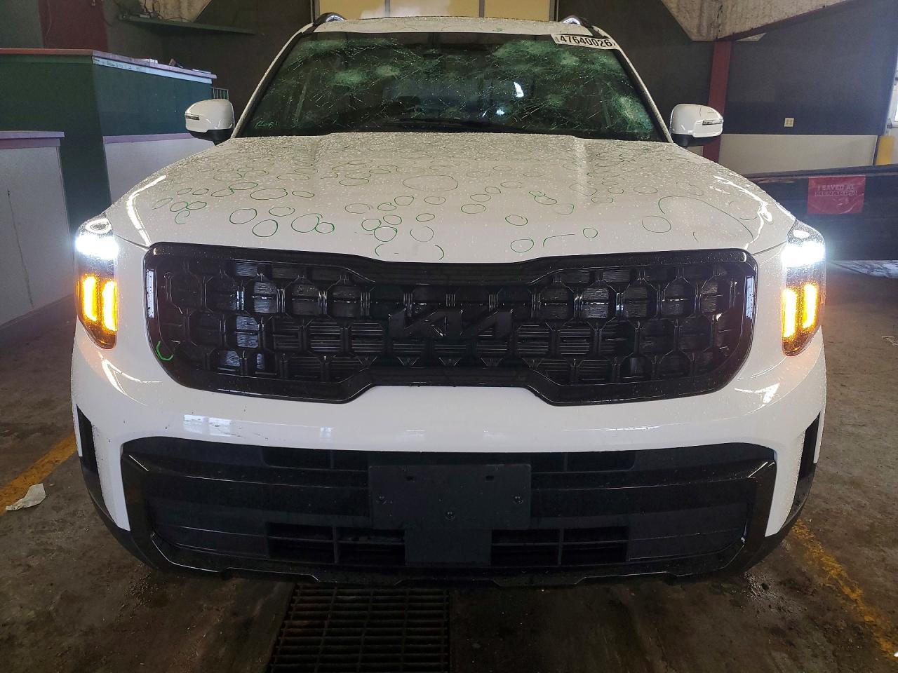 2025 Kia Telluride Ex X-Line - Фото 5