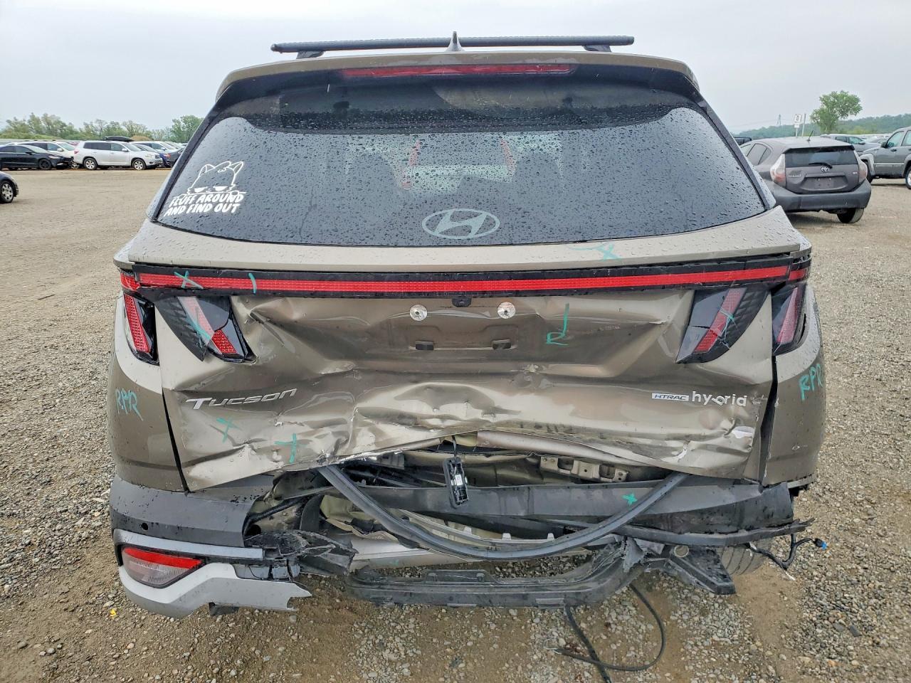 2025 Hyundai Tucson Hybrid Limited - Фото 6