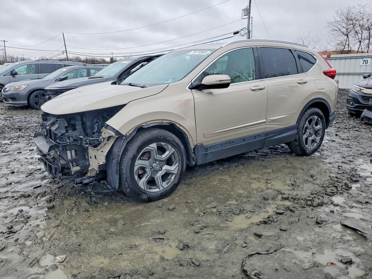 2019 Honda Cr-V Exl