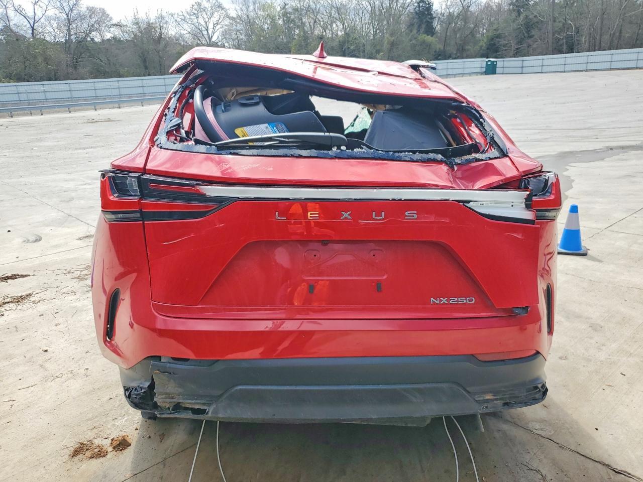 2024 Lexus Nx 250 Base - Image 6