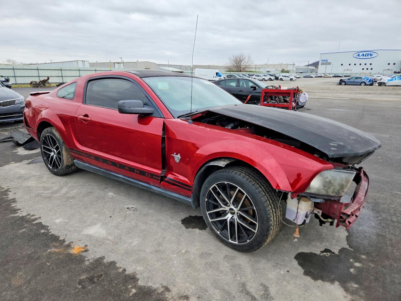 2009 Ford Mustang 50Th Anniversary - Фото 4