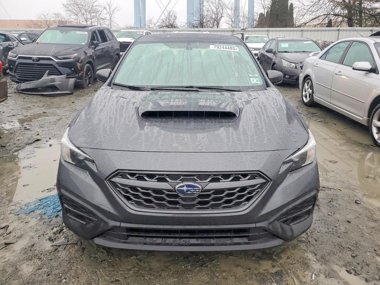 2023 Subaru Wrx - Фото 5