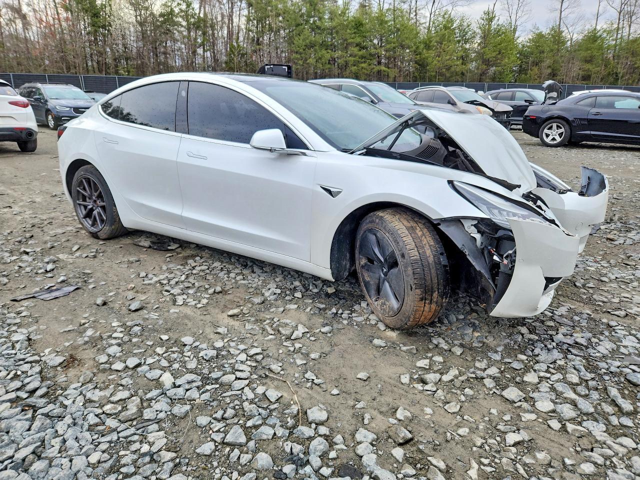 2019 Tesla 3 - Image 4