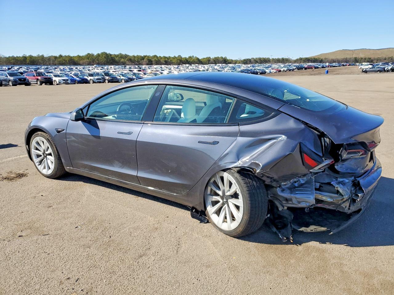 2023 Tesla Model 3 - Фото 2