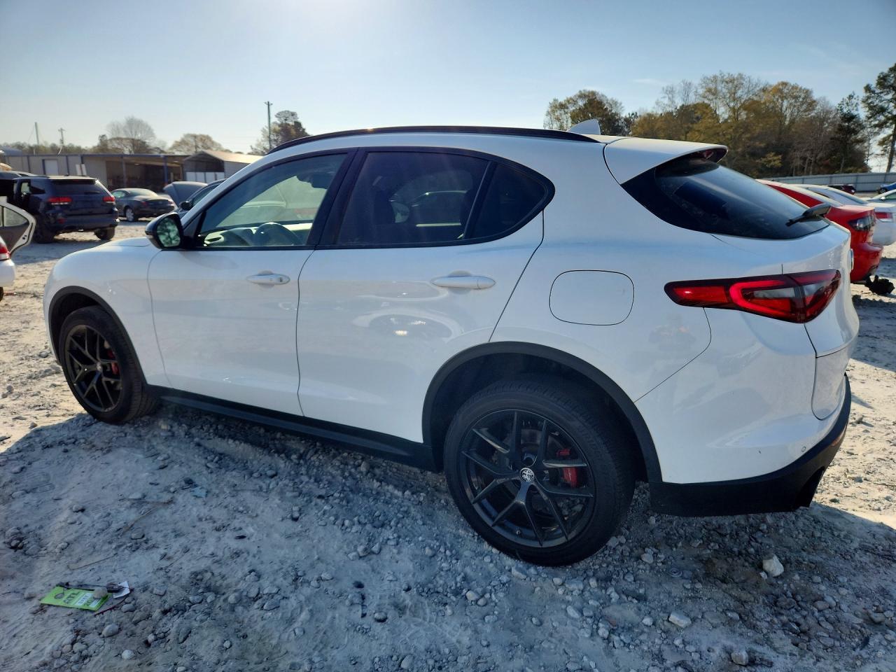 2020 Alfa Romeo Stelvio - Фото 2