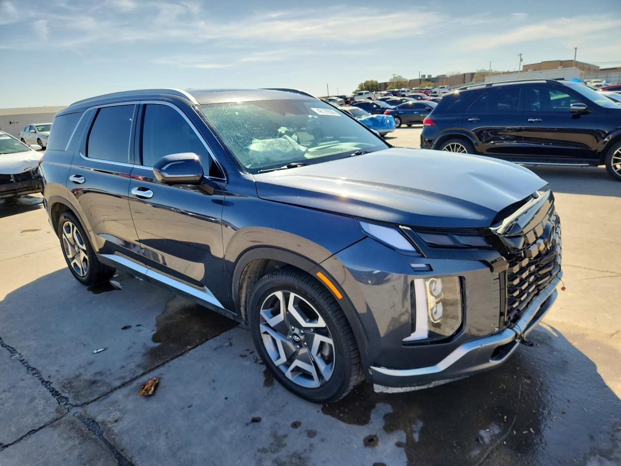 2024 Hyundai Palisade Limited - Фото 4