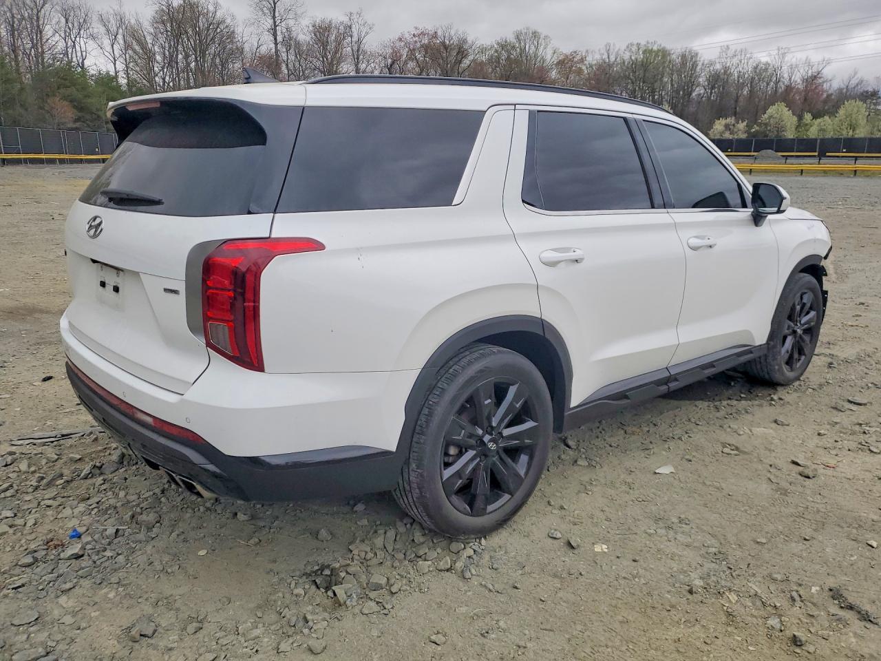 2023 Hyundai Palisade Xrt - Фото 3
