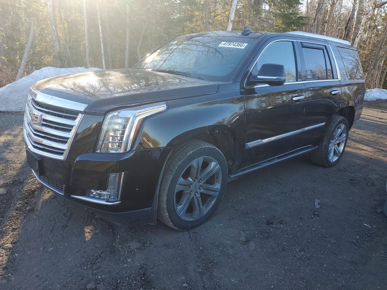 2019 Cadillac Escalade Platinum