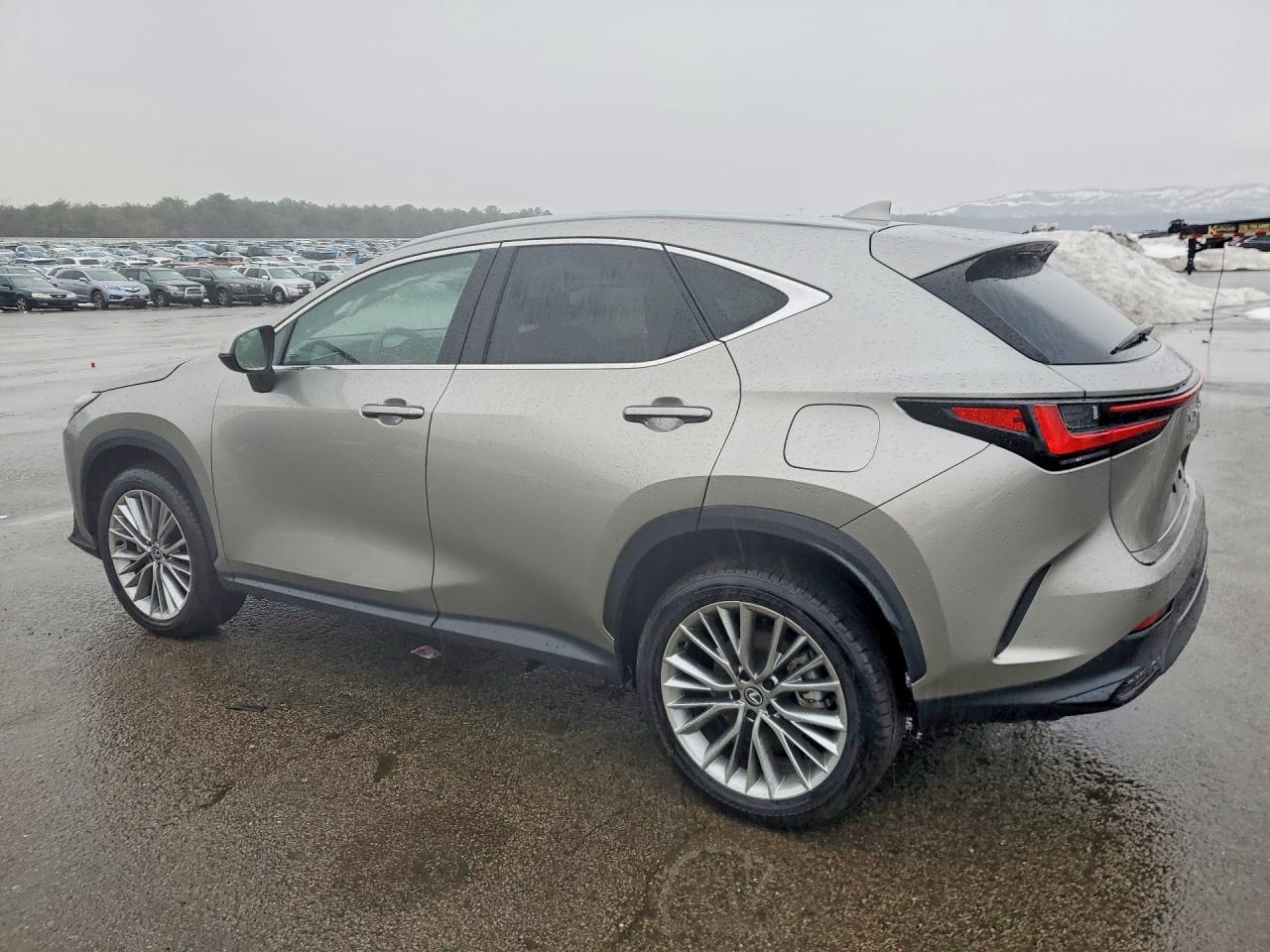 2025 Lexus Nx 350 Premium - Фото 2