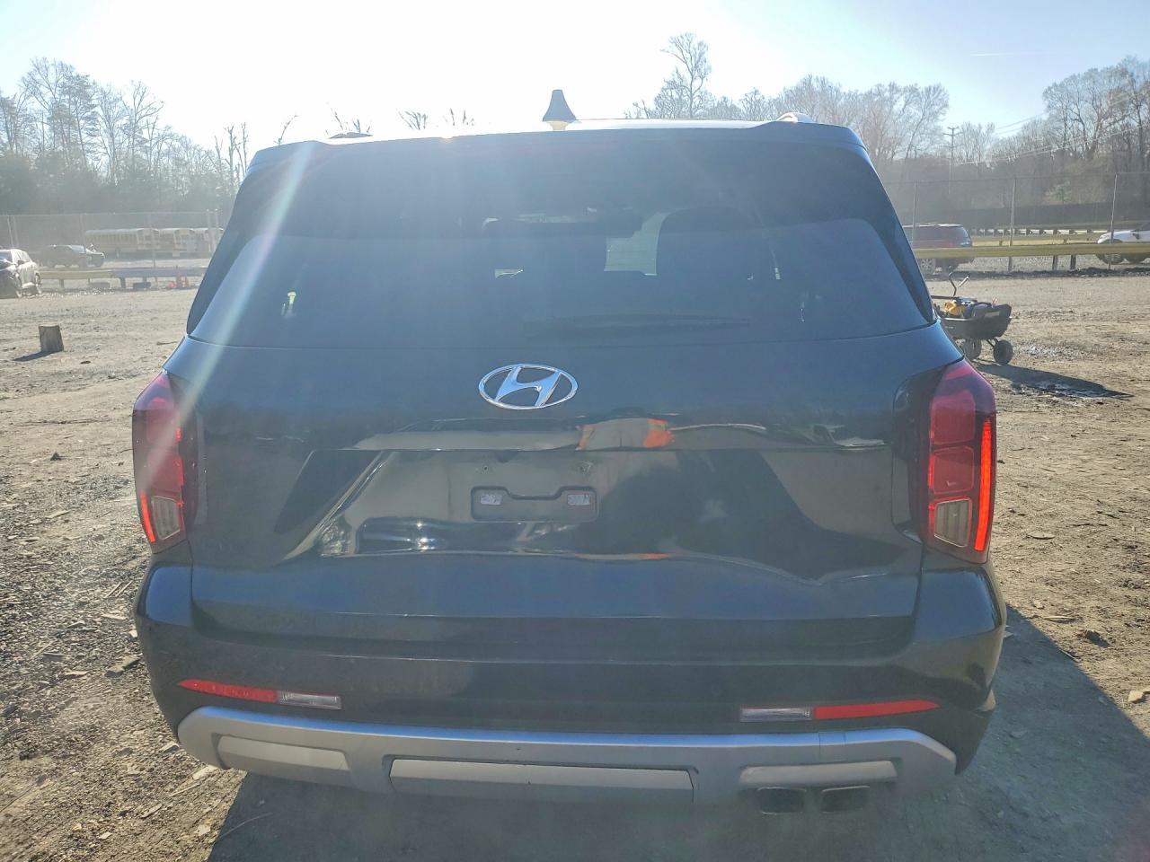 2024 Hyundai Palisade Sel - Фото 6