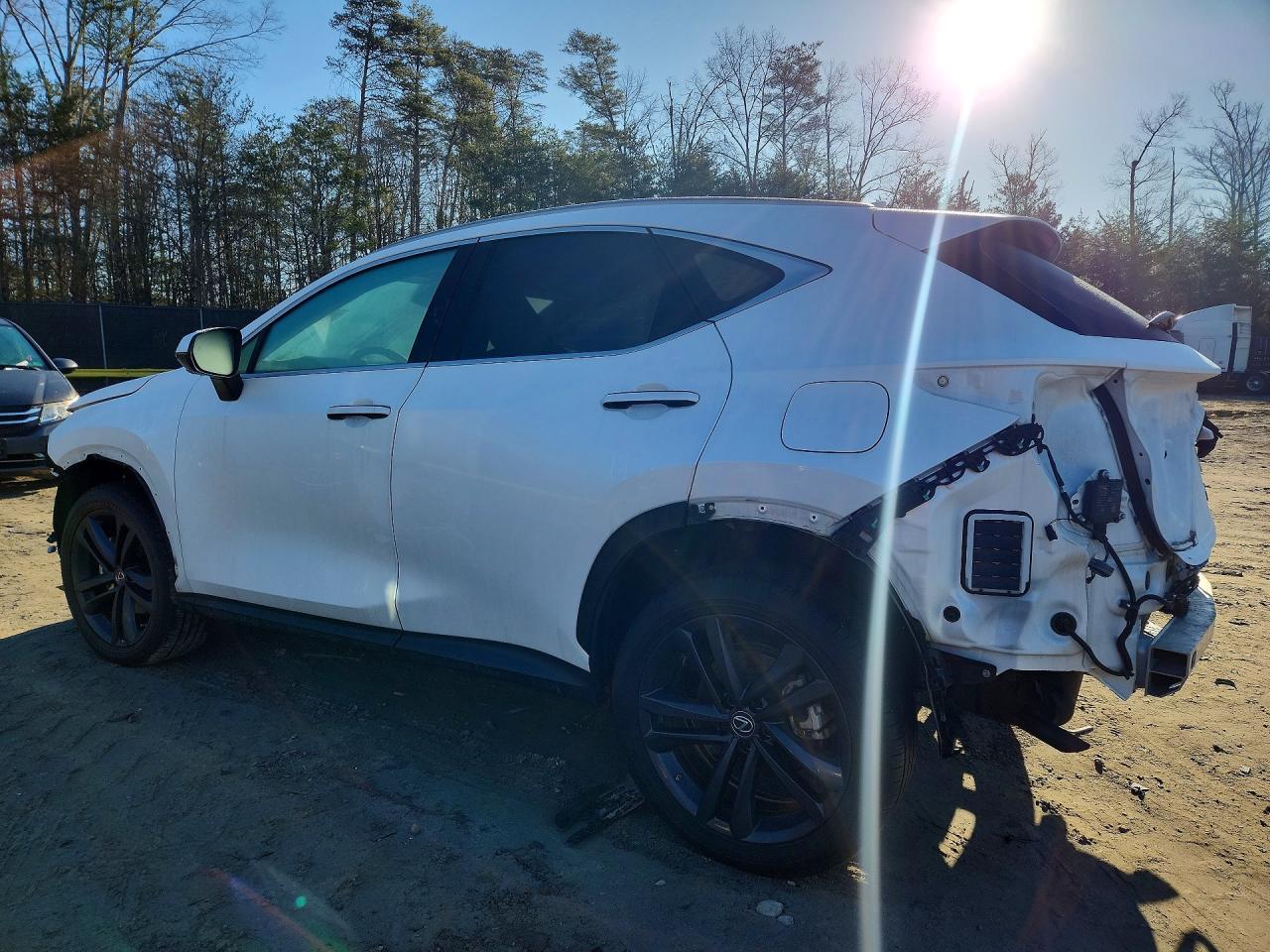 2022 Lexus Nx 450H+ Base - Фото 2