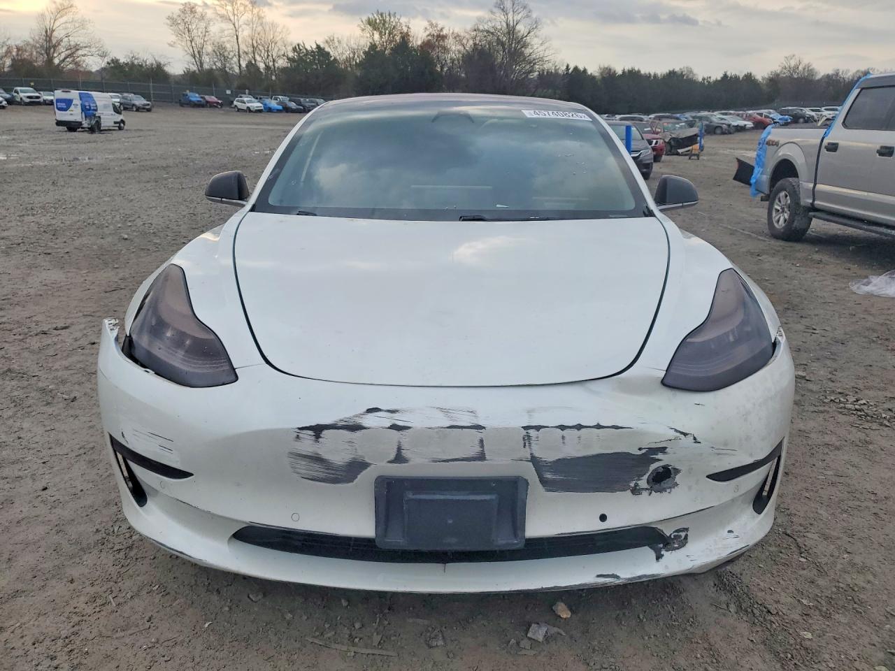 2019 Tesla Model 3 - Фото 5