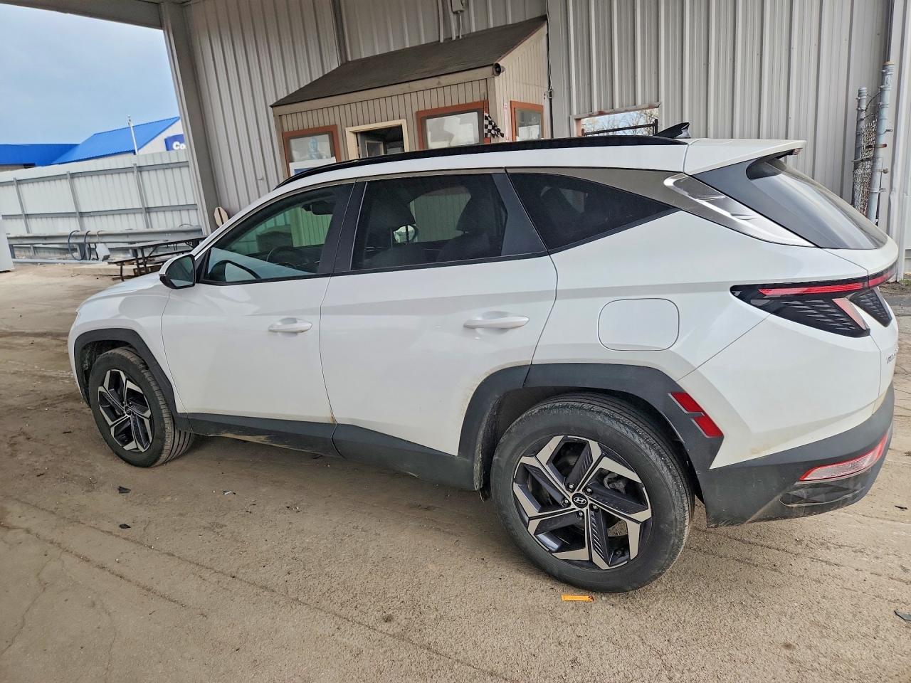 2024 Hyundai Tucson Hybrid Sel Convenience - Фото 2