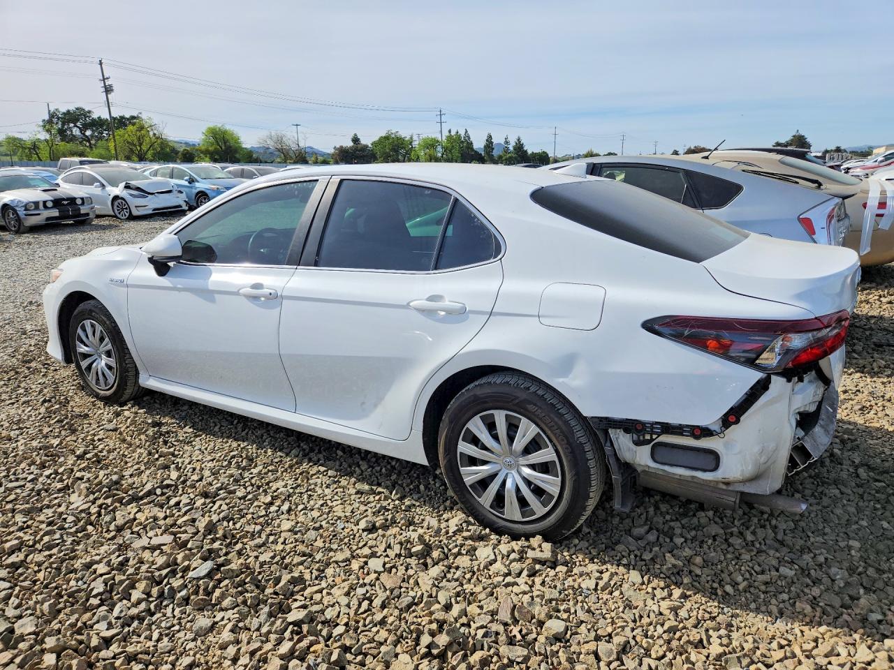 2021 Toyota Camry Hybrid Le - Фото 2