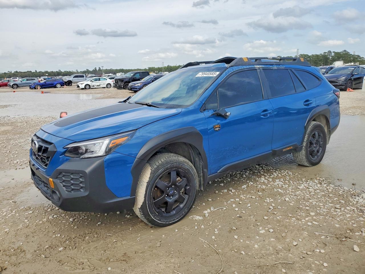 2025 Subaru Outback Wilderness