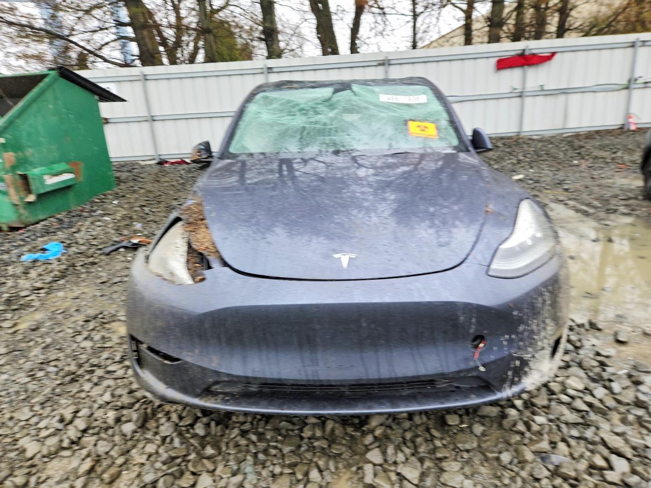 2020 Tesla Model Y - Фото 5