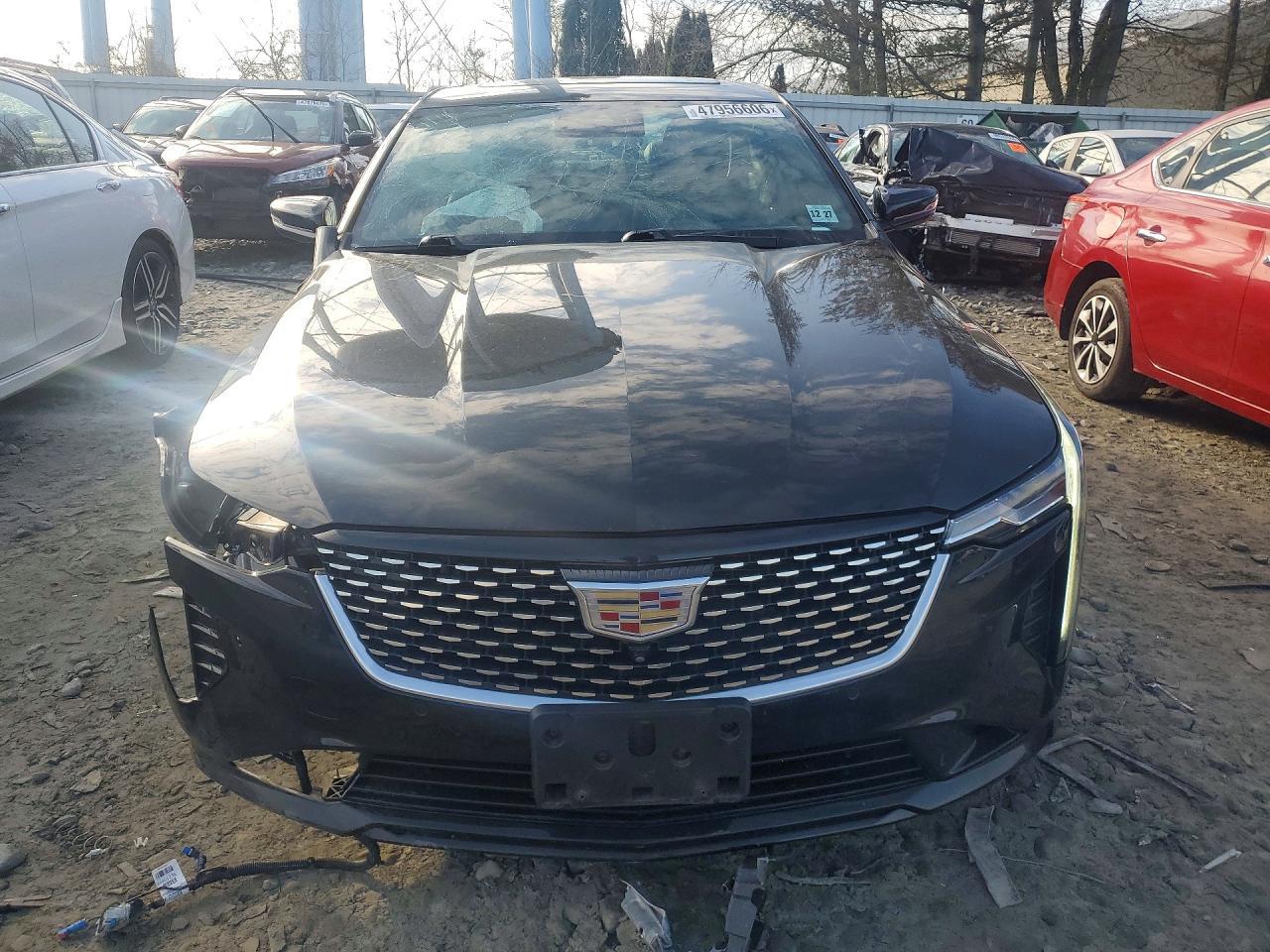 2023 Cadillac Ct4 Premium Luxury - Фото 5