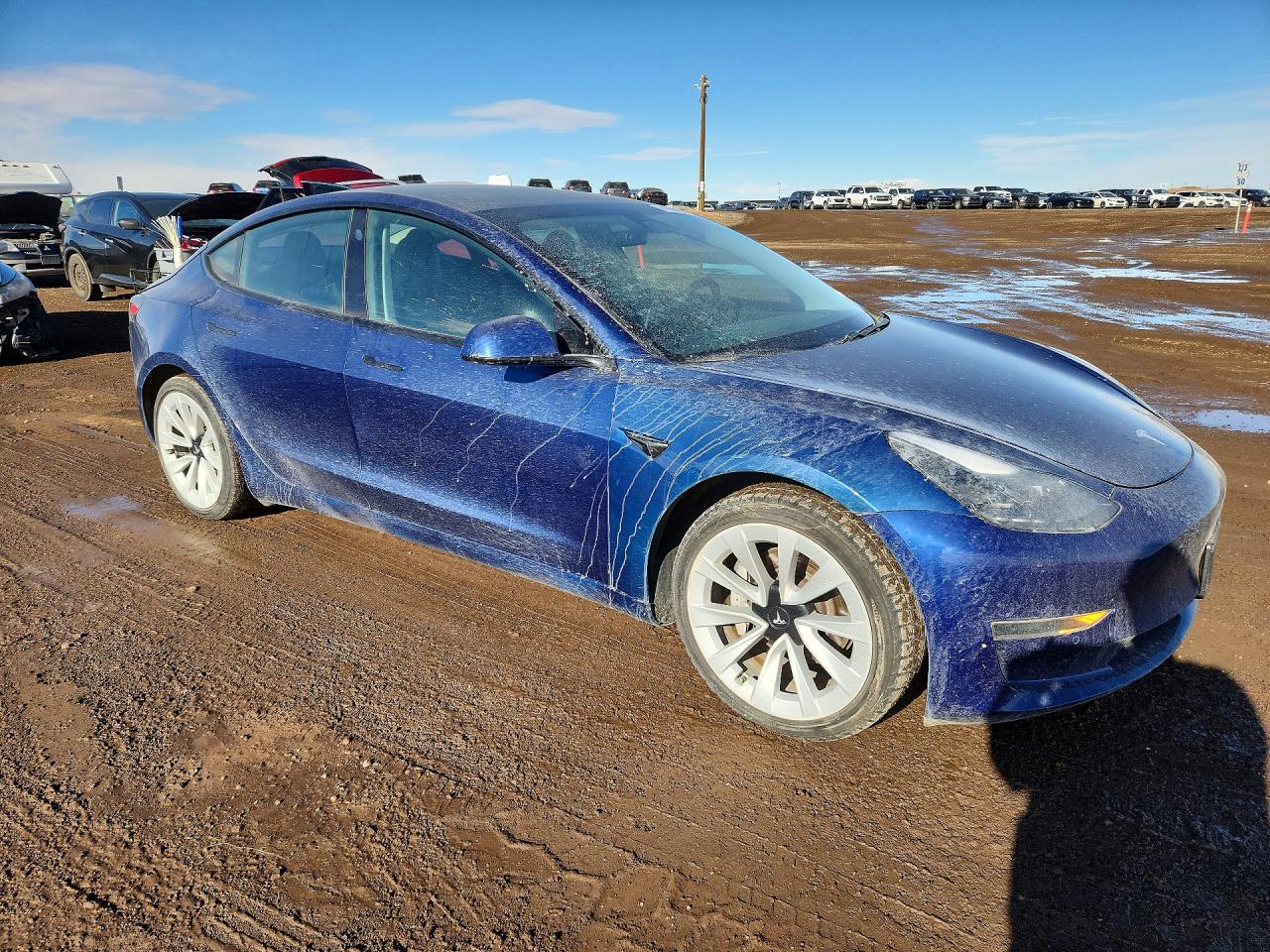 2021 Tesla Model 3 - Фото 4