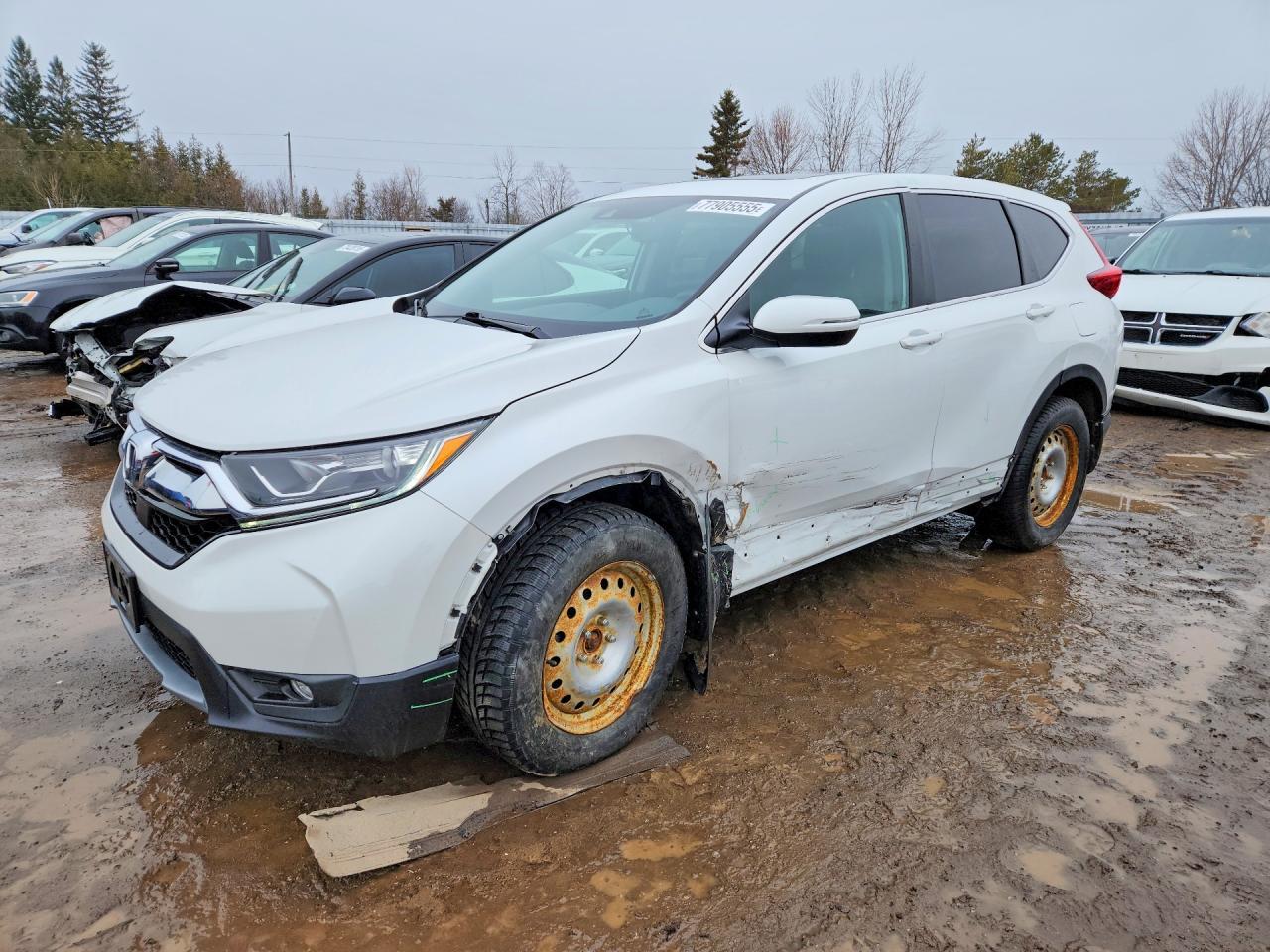 2019 Honda Cr-V Exl