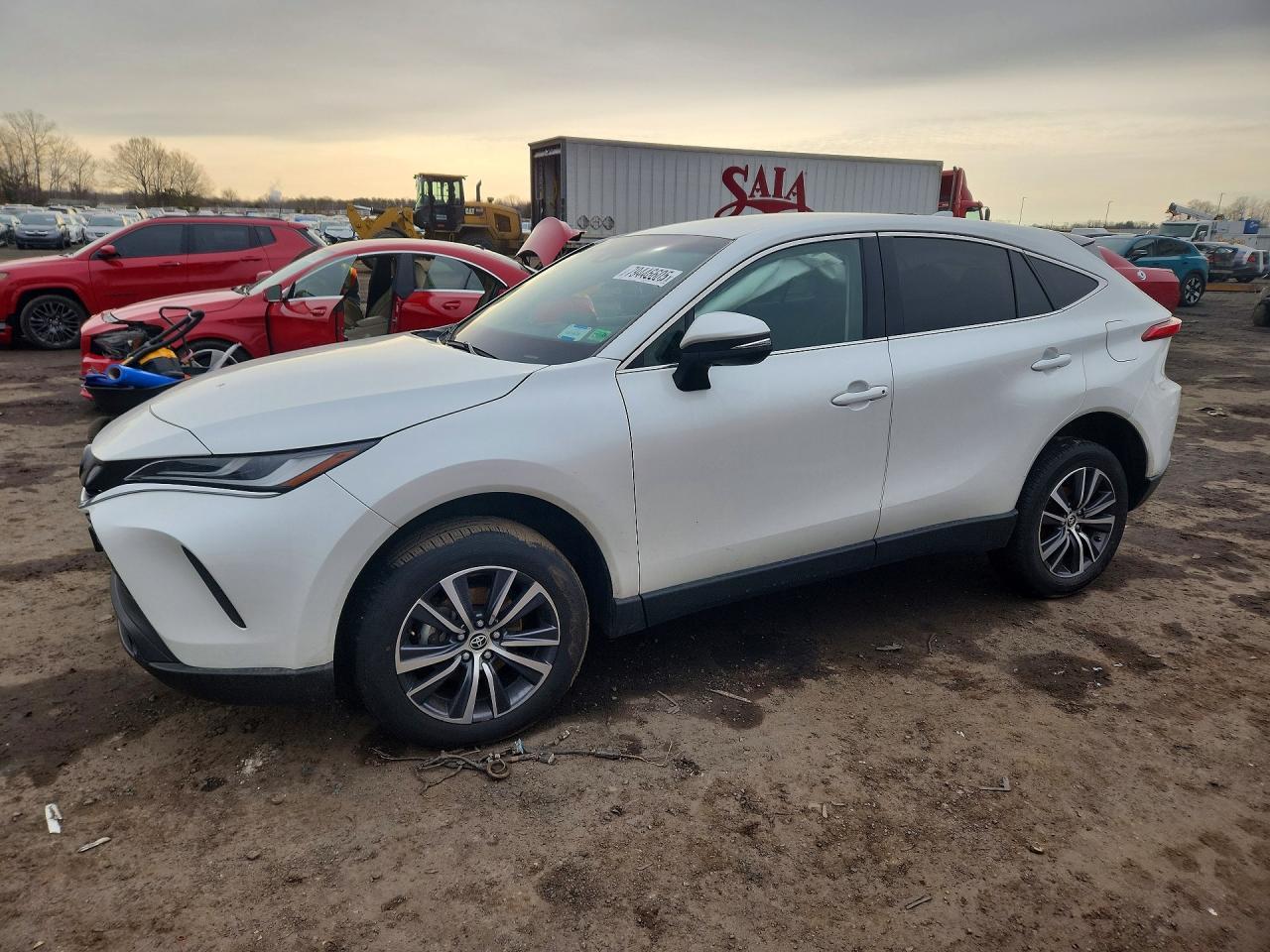 2023 Toyota Venza Le
