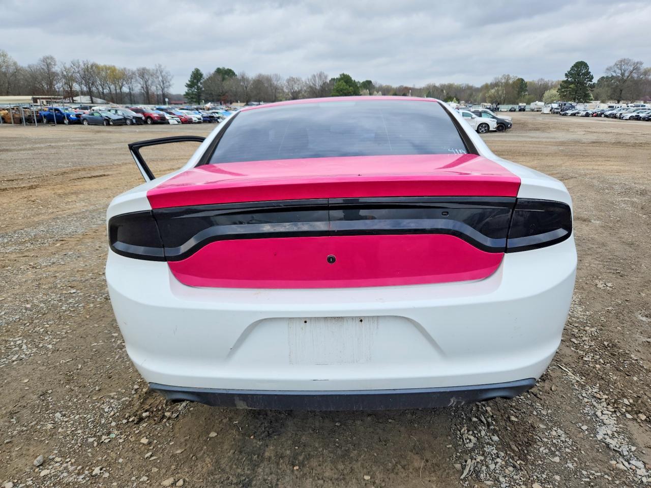 2015 Dodge Charger Police - Фото 6