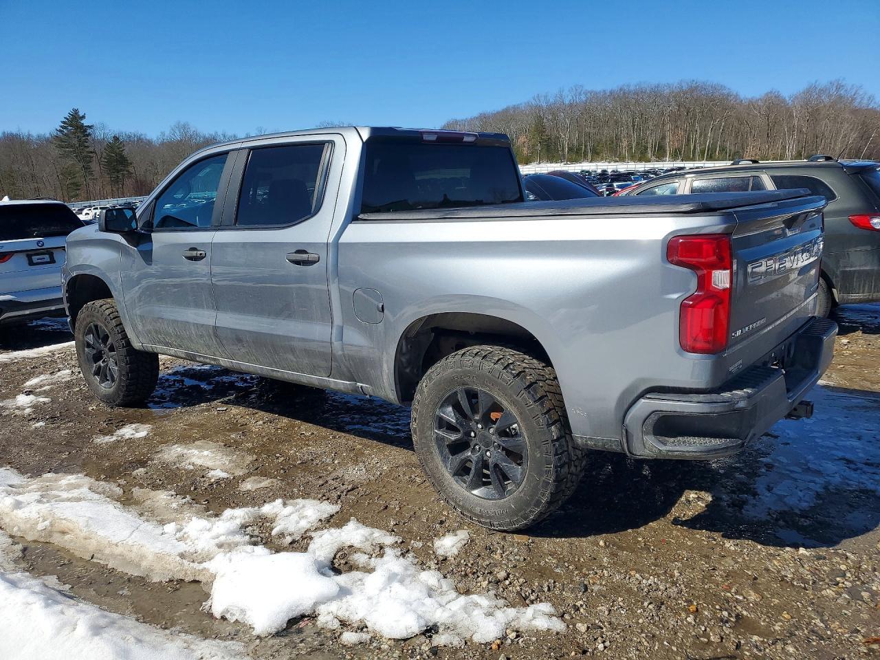 2019 Chevrolet Silverado K1500 Custom - Фото 2