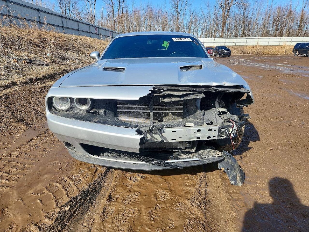 2019 Dodge Challenger Sxt - Фото 5