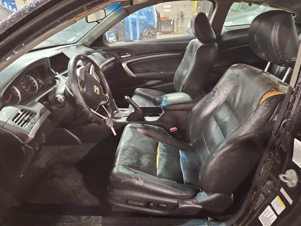 2008 Honda Accord Exl - Фото 7