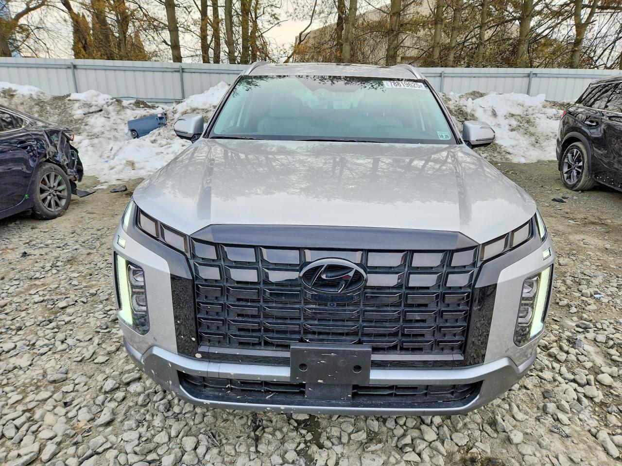 2025 Hyundai Palisade Sel Premium - Фото 5
