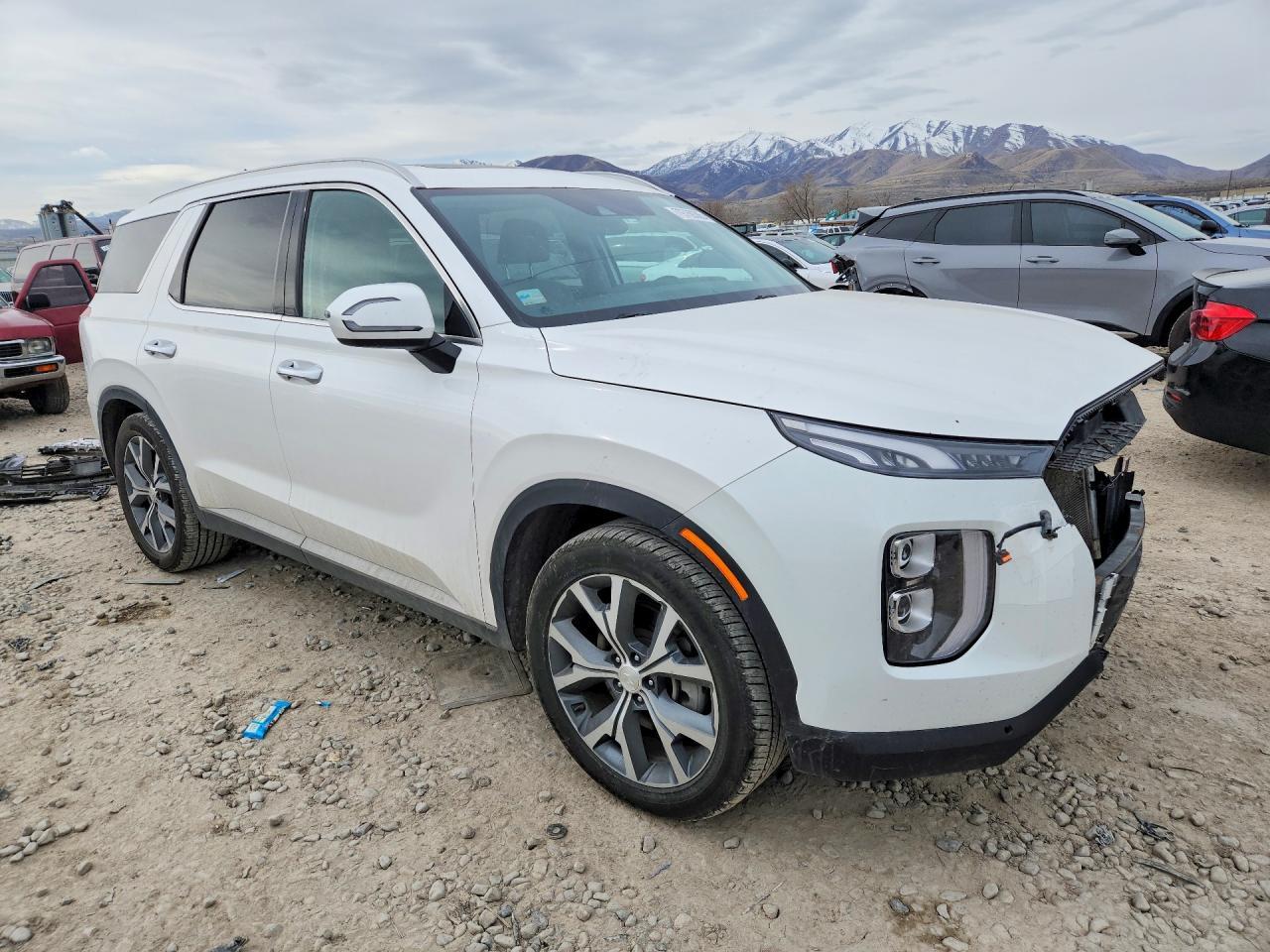 2020 Hyundai Palisade Sel - Фото 4