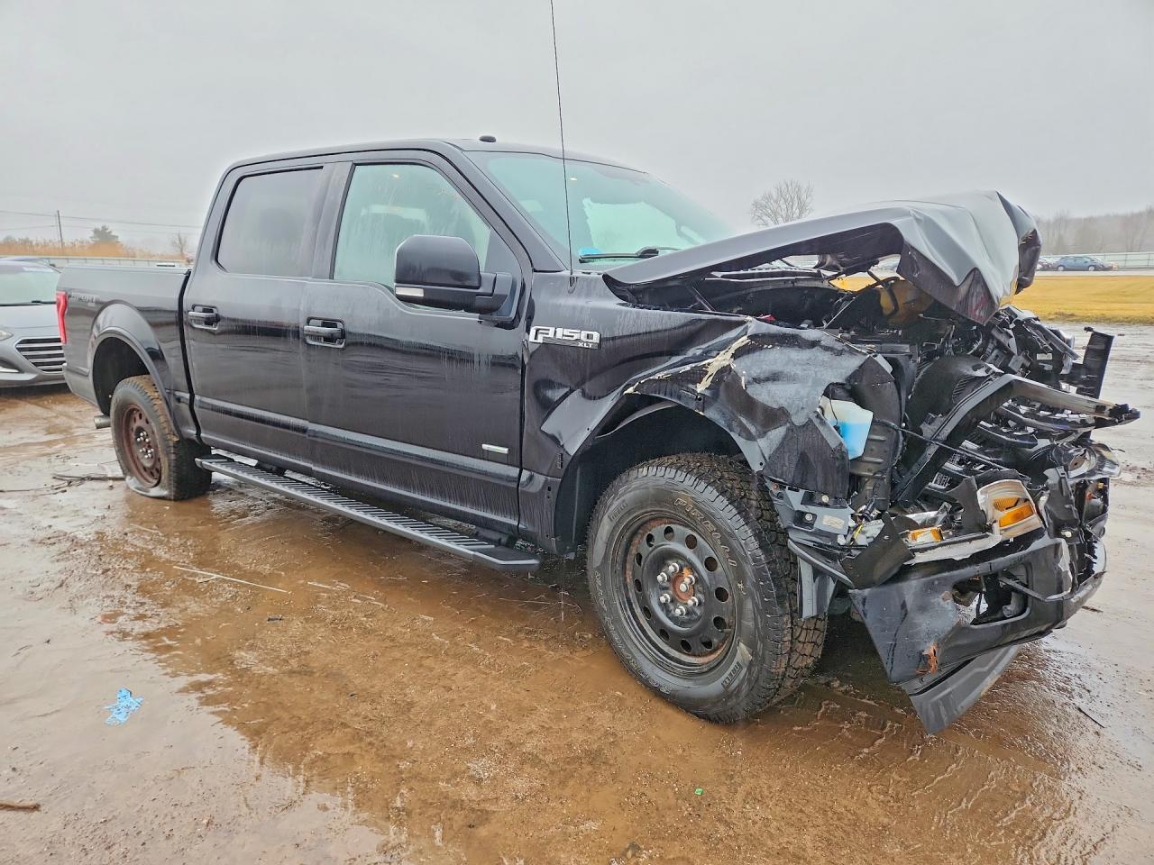 2017 Ford F150 Supercrew - Image 4