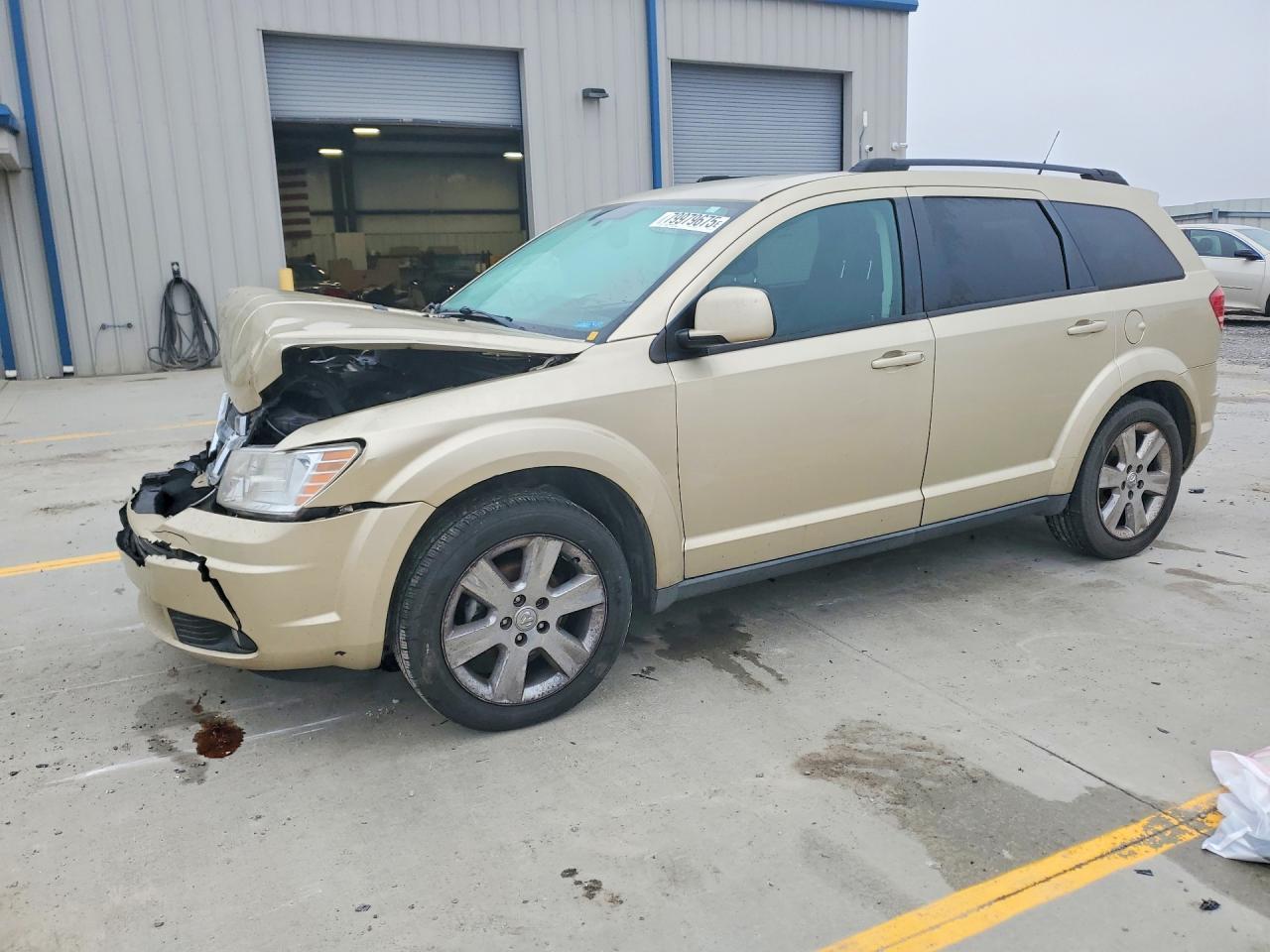 2010 Dodge Journey Sxt